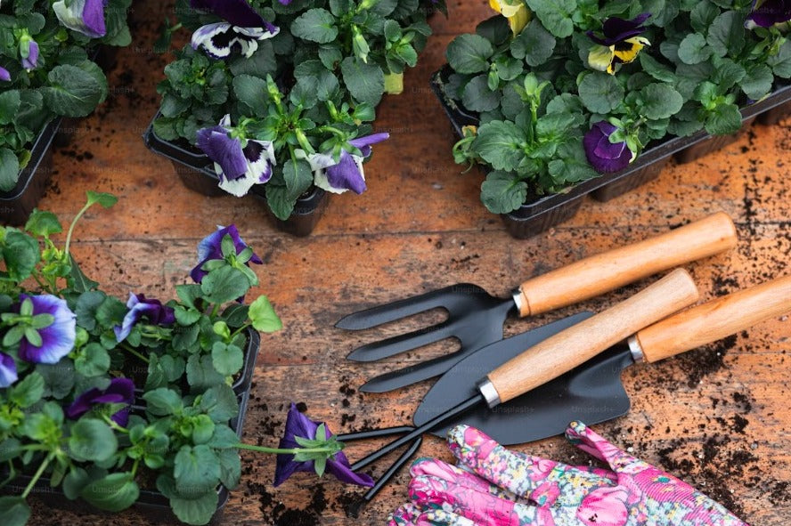 Garden Special